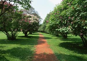 植毛の料金を徹底解説！施術内容と費用対効果を理解するためのガイド