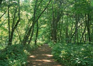 心に抱えた悩みを相談したいなら