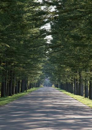 コミュニケーションを大切にする大宮の精神科